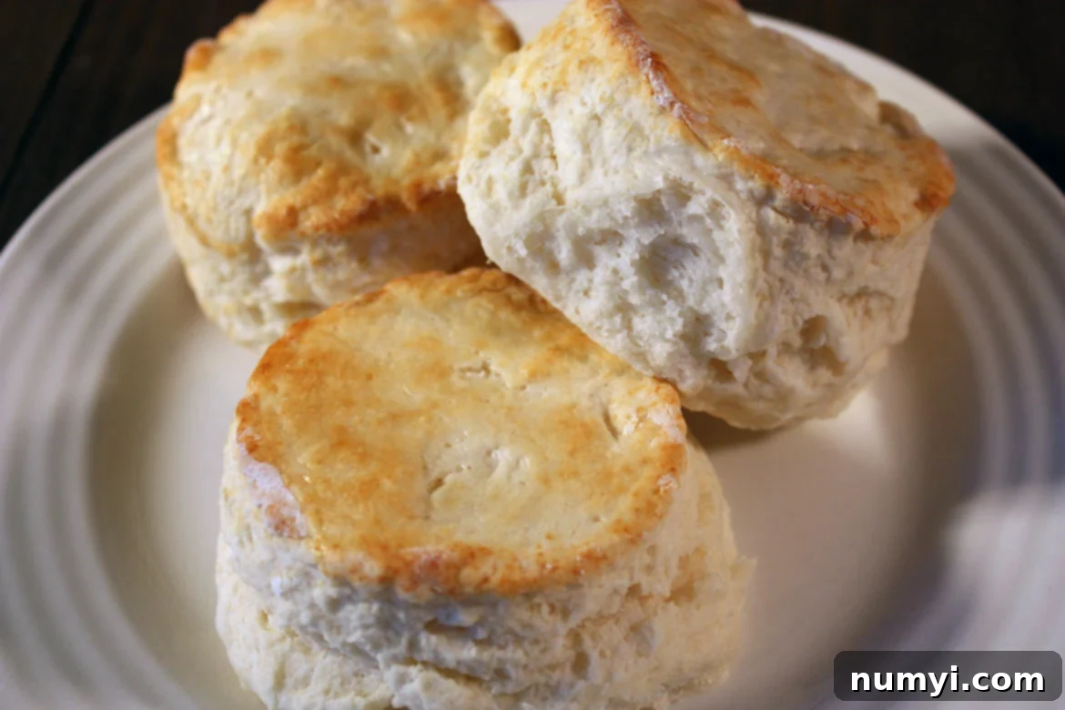 Easy Homemade Tender Soft Flaky Biscuits 13 Homemade Biscuits on a white plate.