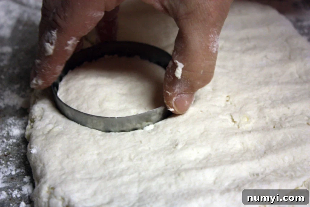 Easy Homemade Tender Soft Flaky Biscuits 9 A biscuit cutter pressing straight down into homemade biscuit dough on a floured surface.
