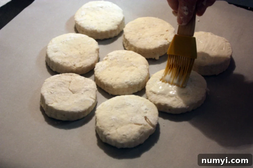 Easy Homemade Tender Soft Flaky Biscuits 10 Unbaked biscuits arranged on a baking sheet, with buttermilk being brushed onto their tops.