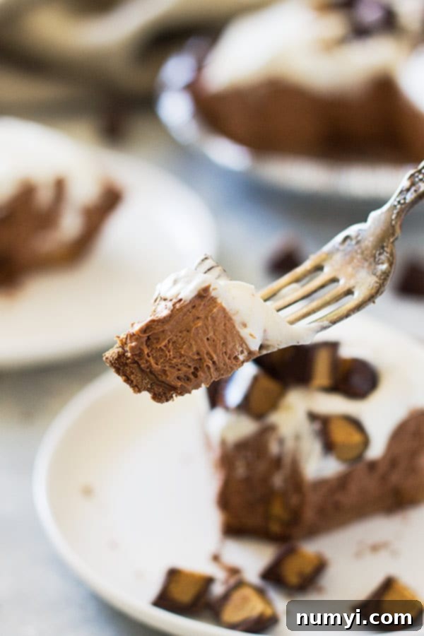 This Dark Chocolate Peanut Butter No Bake Cheesecake is rich, ultra creamy and decadent! | www.countrysidecravings.com