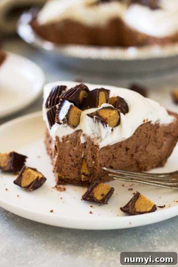 This Dark Chocolate Peanut Butter No Bake Cheesecake is rich, ultra creamy and decadent! | www.countrysidecravings.com