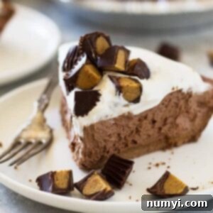 This Dark Chocolate Peanut Butter No Bake Cheesecake is rich, ultra creamy and decadent! | www.countrysidecravings.com