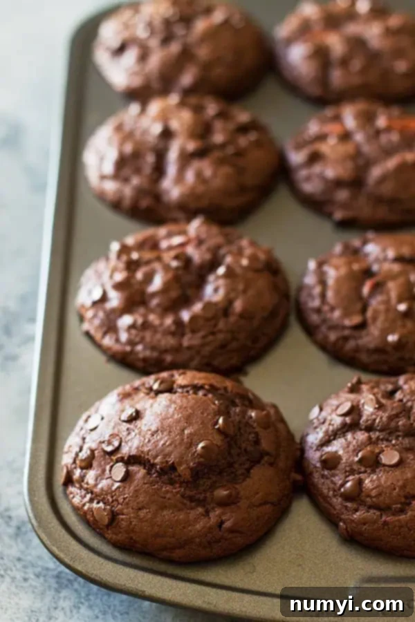 overhead closeup: double chocolate muffins baked in a muffin tin, showcasing their tall, domed tops and chocolate chips