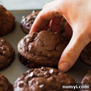 These Double Chocolate Strawberry Muffins are moist, tender, filled with strawberry chunks and oh so chocolatey! | www.countrysidecravings.com