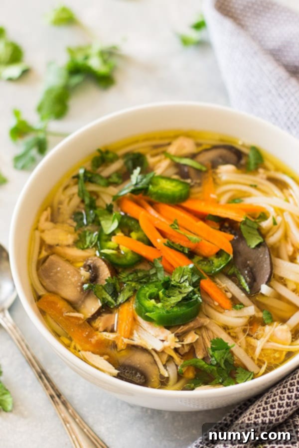 A steaming bowl of Slow Cooker Asian Chicken Noodle Soup with fresh herbs