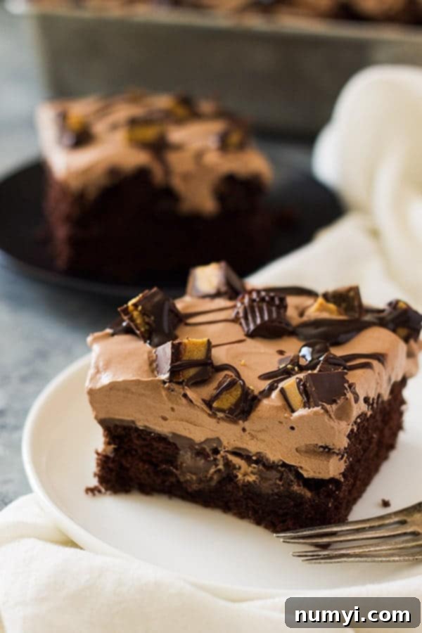 This Chocolate Peanut Butter Poke Cake is a chocolate cake soaked in peanut butter goodness! Then topped with a luscious chocolate whipped cream and peanut butter cups! | www.countrysidecravings.com