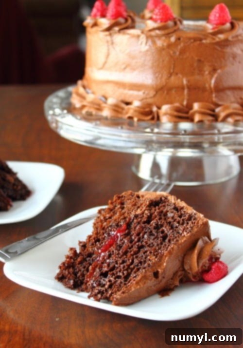 Decadent Chocolate Fudge Raspberry Cake on a cake stand, garnished with fresh raspberries