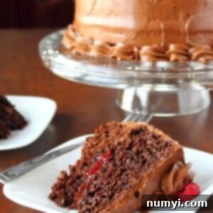 Decadent Raspberry Chocolate Fudge Cake 3 img 88 2