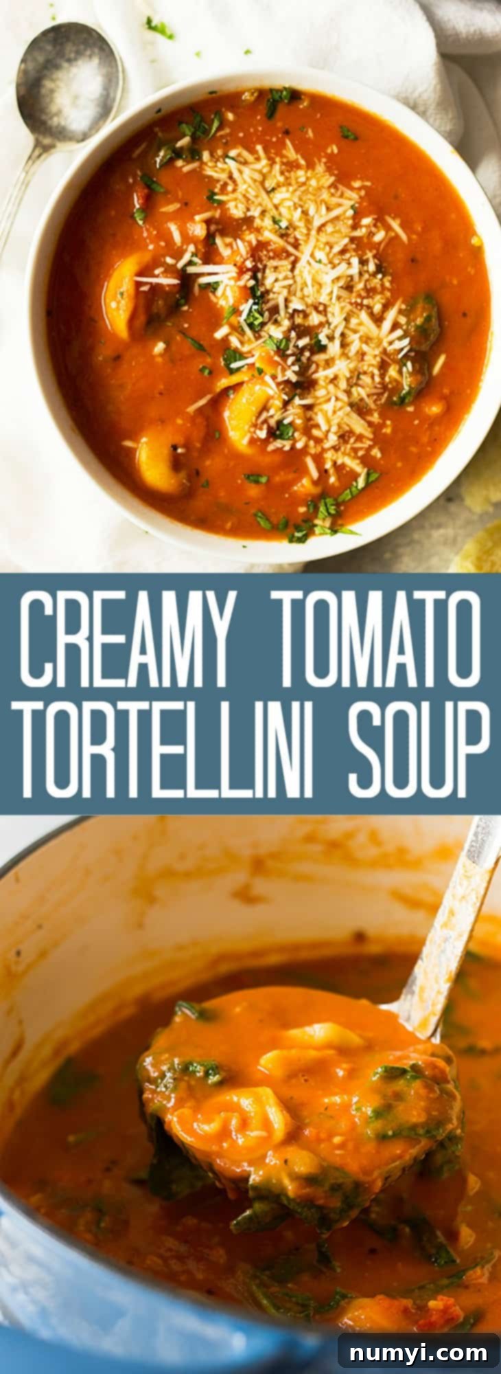 A large, inviting image of the finished creamy tomato tortellini soup, emphasizing its comforting appeal.