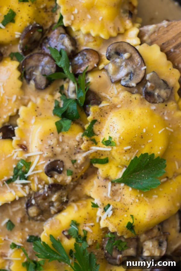 ravioli with creamy mushroom sauce on a plate