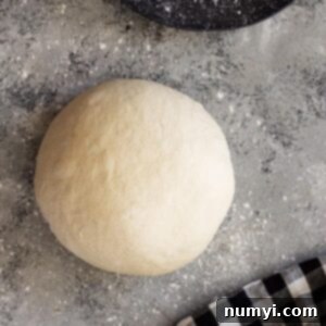 A ball of dough ready to roll into a crust.