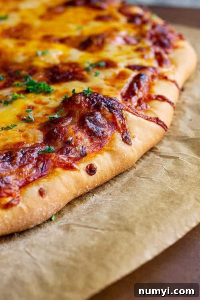 Perfectly Homemade Cheese Pizza 6 closeup: 3 cheese pizza hot from the oven