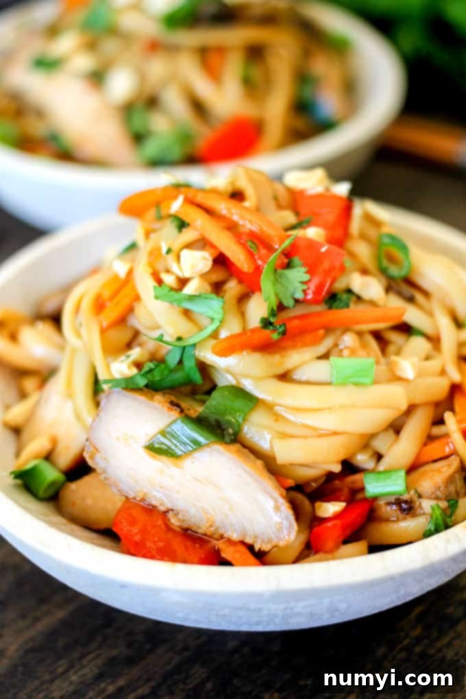 One Pot Teriyaki Chicken Noodles recipe