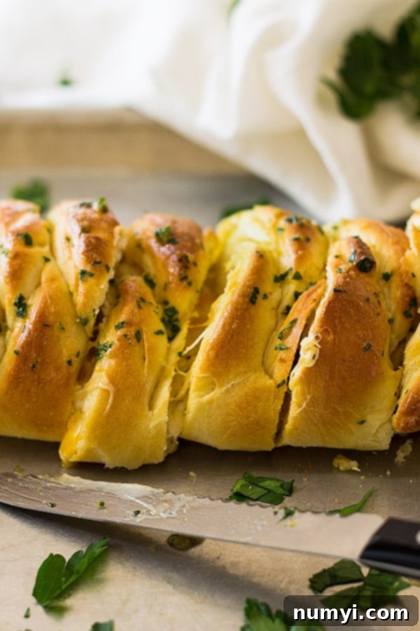 This Three Cheese Braid is a great appetizer. It's filled with melty cheese and brushed with melted butter and garlic. 