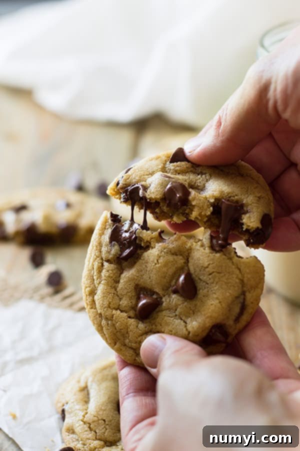 One cookie being pulled apart 