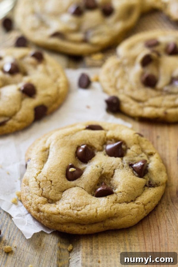 Close view of chocolate chip cookies on wooden surface
