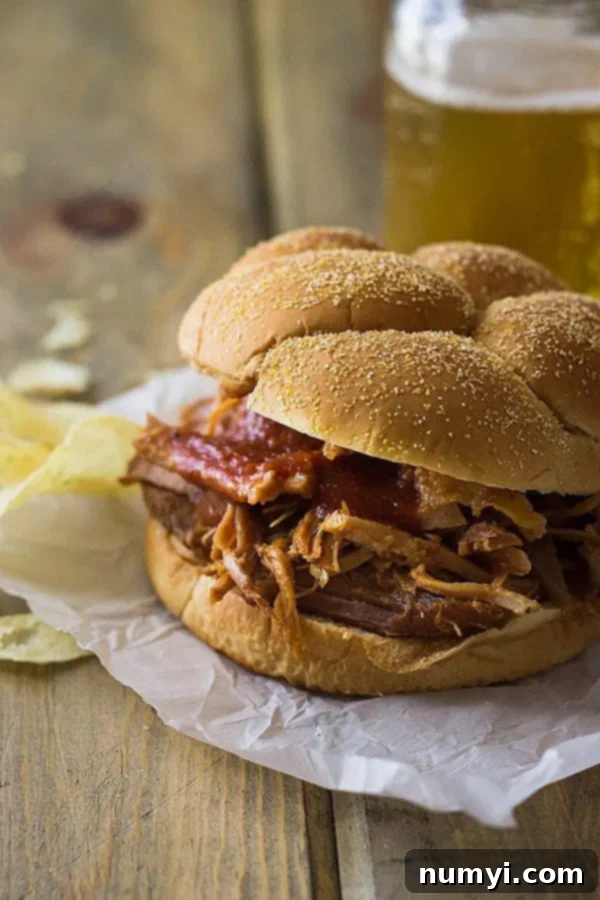 closeup: pulled pork dry rub recipe on a pulled pork sandwich