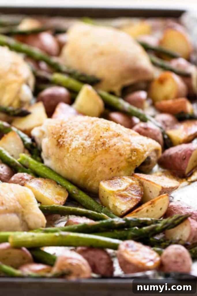 Wholesome Chicken and Vegetable Sheet Pan Dinner with roasted chicken pieces and colorful mixed vegetables.