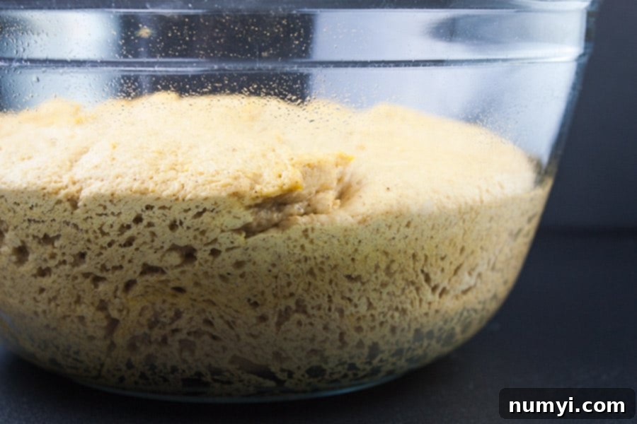 Soft, elastic pumpkin bread dough rising in a greased glass bowl, covered for its first proof.