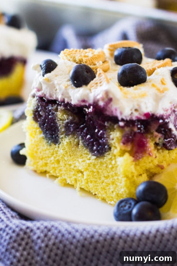 Refreshing Lemon Blueberry Poke Cake