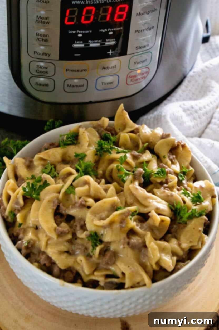 Creamy Instant Pot Pressure Cooker Hamburger Stroganoff served in a bowl with noodles.
