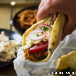 hand holding bbq pulled pork gyro