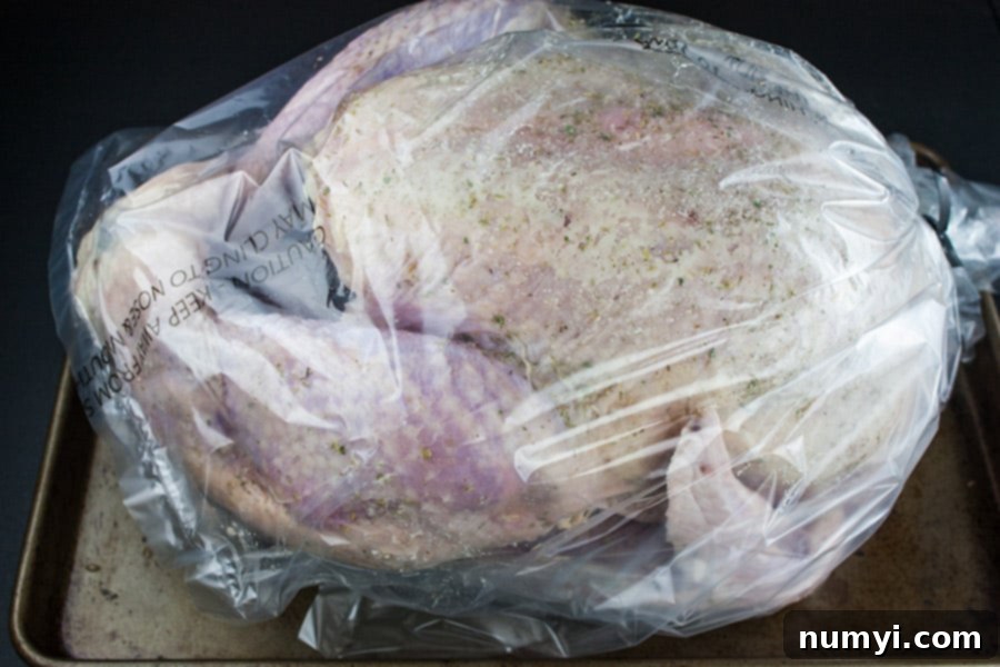 Simple Succulent Roast Turkey (Dry Brine) - turkey rubbed with brine and placed in a plastic bag on a rimmed baking sheet