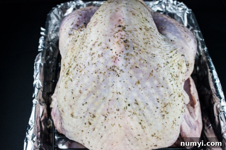 Simple Succulent Roast Turkey (Dry Brine) - turkey in a foil lined roasting pan