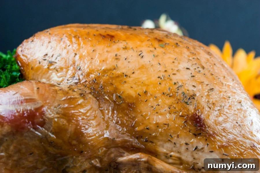 Simple Succulent Roast Turkey (Dry Brine) - close up of the cooked turkey