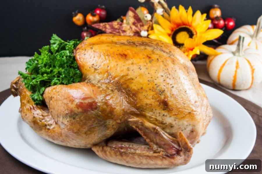 Simple Succulent Roast Turkey (Dry Brine) - cooked turkey on a white platter