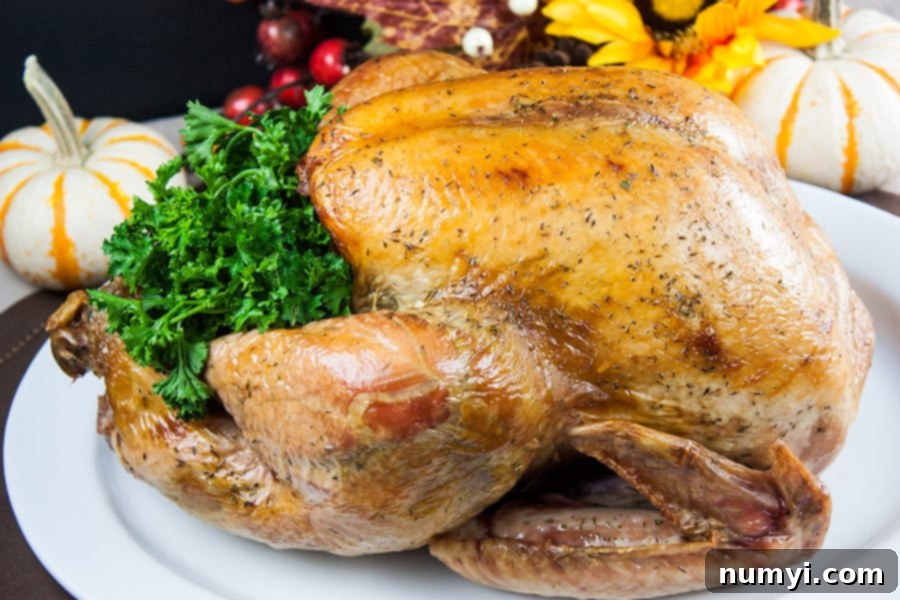 Simple Succulent Dry Brined Roast Turkey on a white platter.