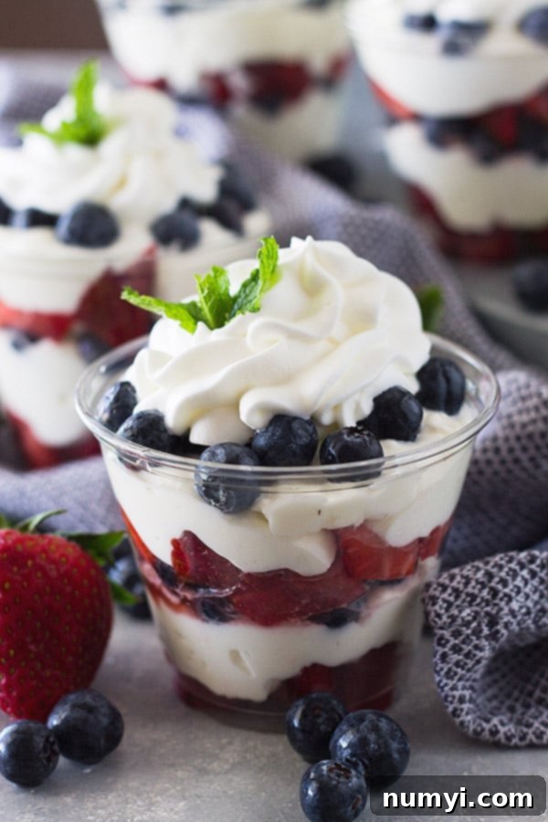 Plastic cup layered with creamy cheesecake filling, fresh strawberries, ripe blueberries, and topped with a swirl of whipped cream.
