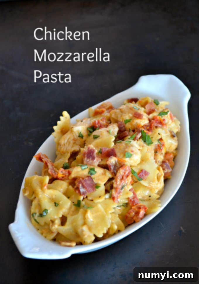 A bowl of comforting Chicken Mozzarella Pasta, with melted cheese and fresh basil, ready to be served.