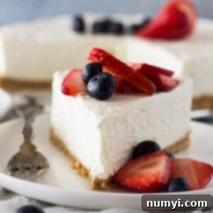 Creamy No-Bake Vanilla Cheesecake 8 This No Bake Vanilla Cheesecake is incredibly smooth, light and airy. And it will go perfect with so many toppings!