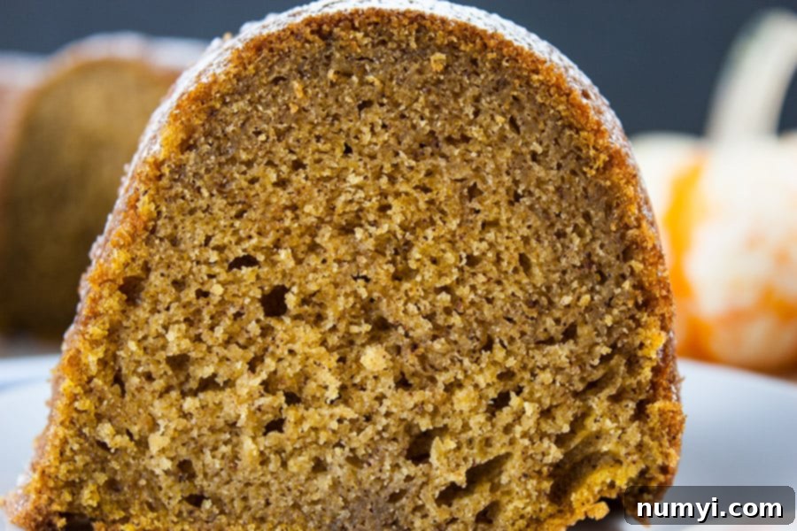 A close up of a slice of pumpkin spice bundt cake on a white plate.