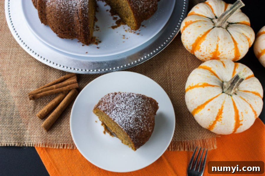Overhead shot of the a slice of the pumpkin spice bundt cake.