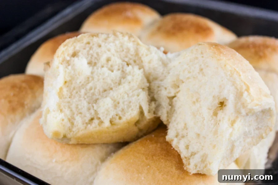 A freshly baked, soft dinner roll cut open, lying on the pan of golden, fluffy dinner rolls.
