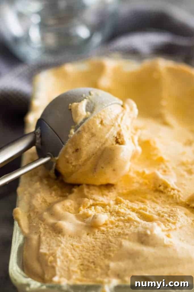 Effortless Pumpkin Ice Cream 2 Scooping rich, orange no-churn pumpkin ice cream out of a freezer-safe container with a metal scoop.