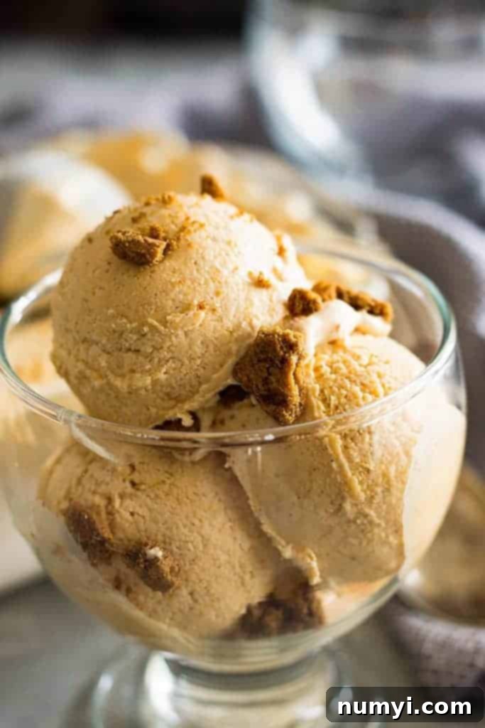 Effortless Pumpkin Ice Cream 5 Three generous scoops of creamy pumpkin pie ice cream, served in a clear glass dish and garnished with crisp cookie crumbles.