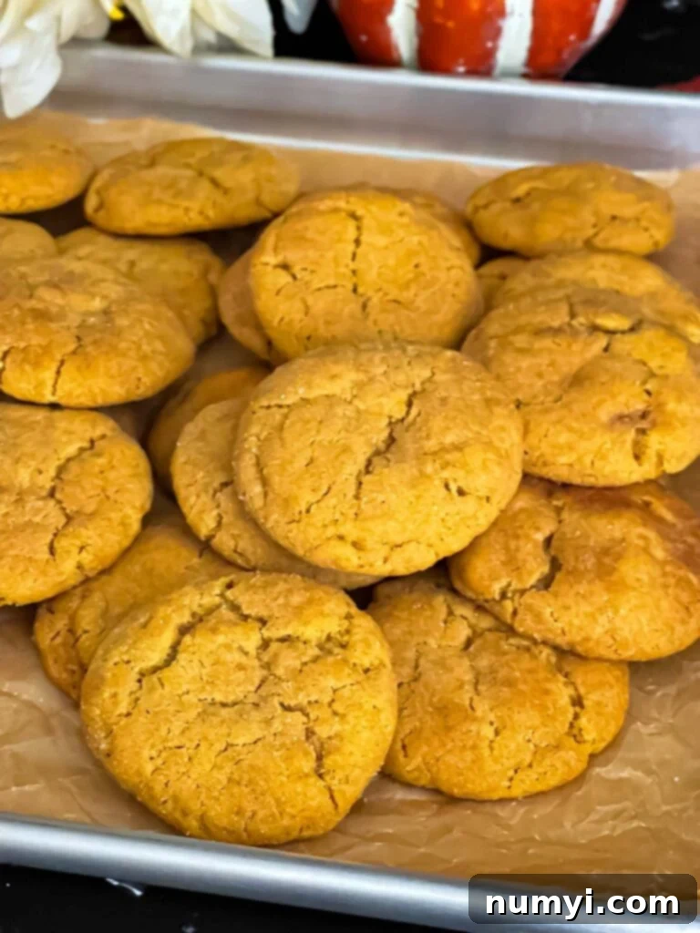 Freshly baked pumpkin snickerdoodle cookies perfectly arranged on a parchment paper lined baking sheet, ready to be enjoyed.