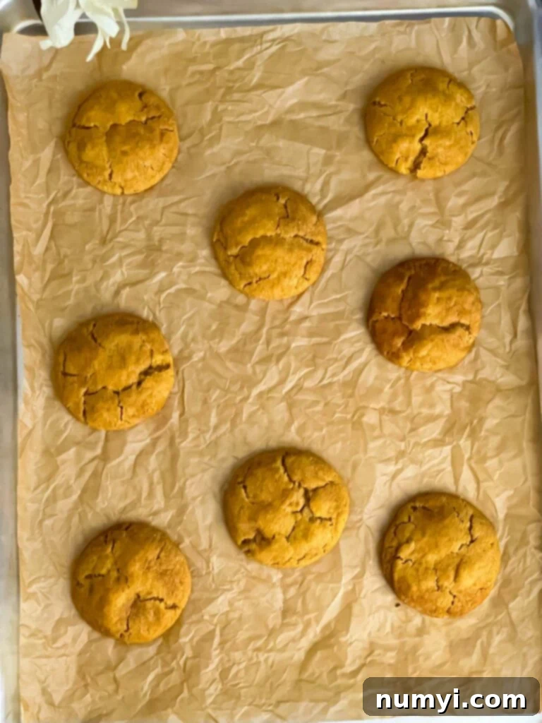 A tray of perfectly baked pumpkin snickerdoodle cookies showcasing their signature cracked tops and golden edges on a parchment paper lined cookie sheet.