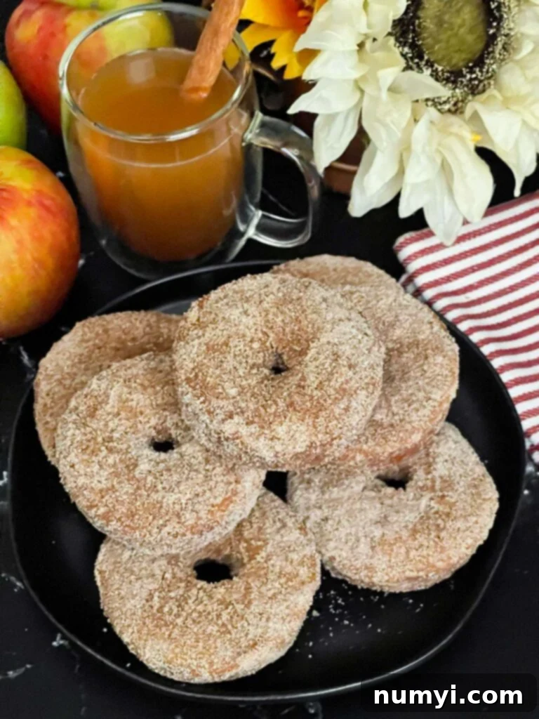 Spiced Apple Cider Baked Doughnuts 2 Baked apple cider donuts stacked on a dark plate on a dark surface.