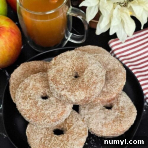 Baked apple cider donuts stacked on a dark plate on a dark surface.