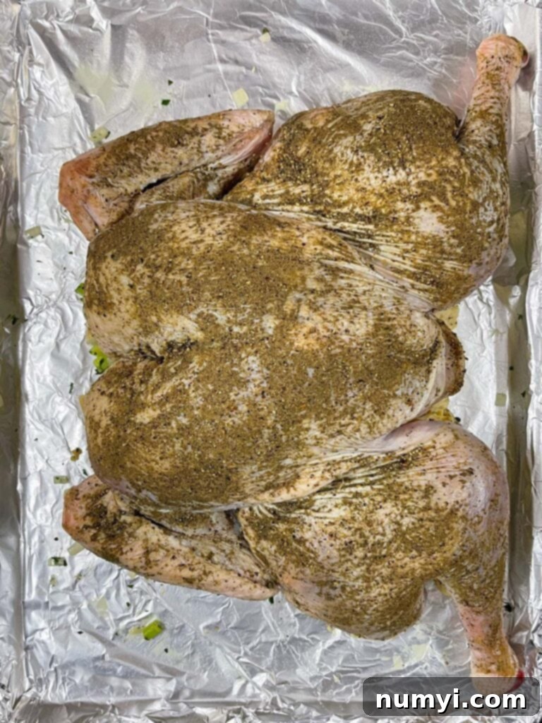 The spatchcocked turkey perfectly positioned directly on top of the shaped stuffing on the baking sheet.