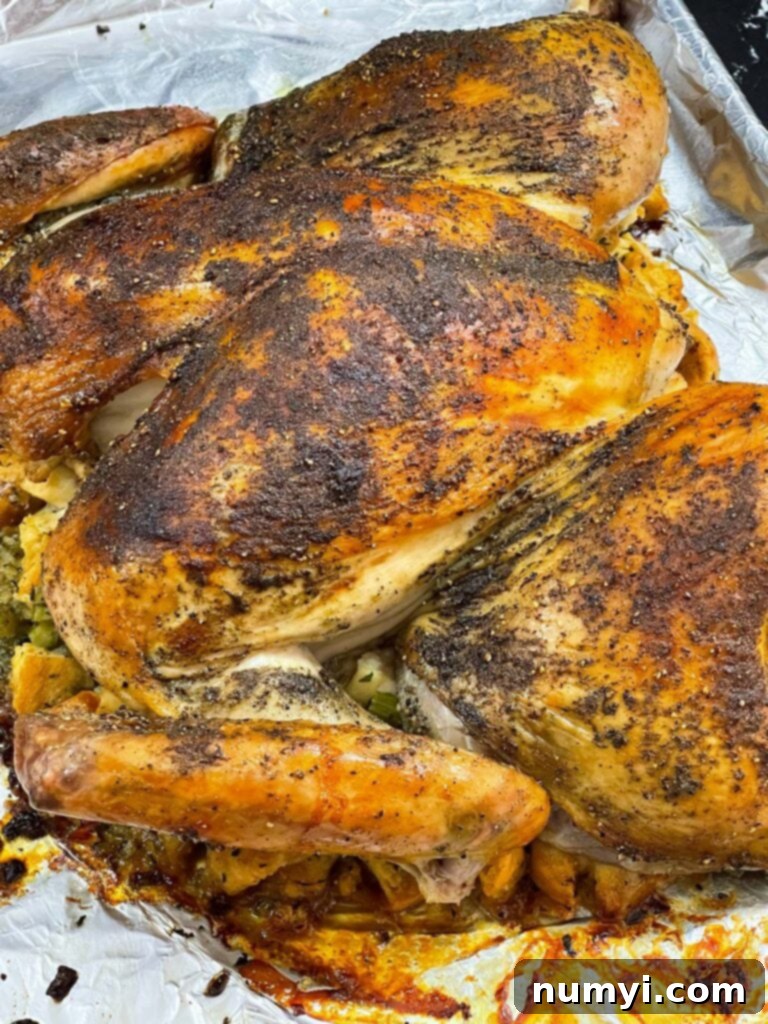 A perfectly oven-roasted spatchcock turkey resting on its flavorful bed of cooked stuffing.