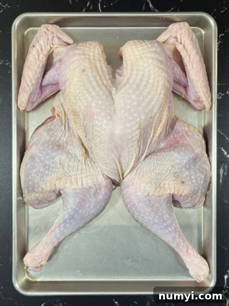 Spatchcocked turkey laid flat on a baking sheet with the backbone removed, demonstrating the flattened position.