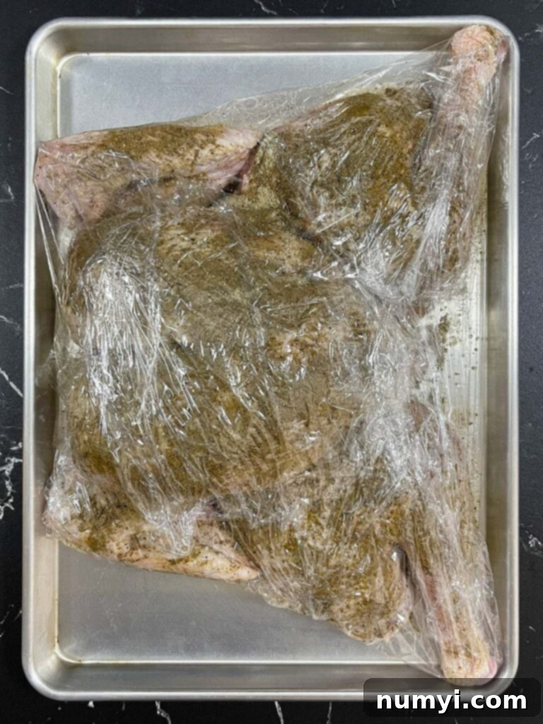 Turkey meticulously coated in dry brine seasoning and ready for refrigeration, ensuring maximum flavor.