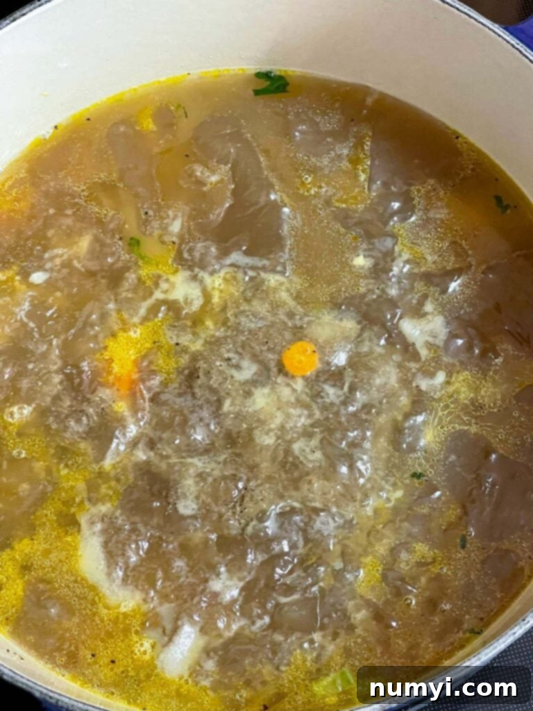 Turkish Noodle Soup 8 Turkey stock pouring into the pot with vegetables